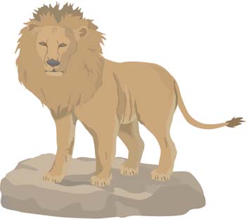 Lion 3