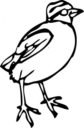 Little Bird clip art