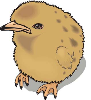 Little Chicken vector 4