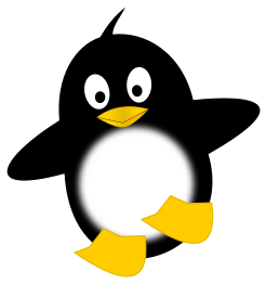 Little funny penguin