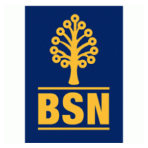 Logo Bsn