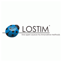 LOSTIM web agency