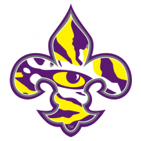 LSU Tigers