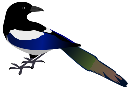 Magpie