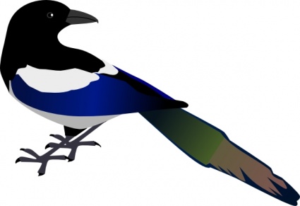 Magpie clip art