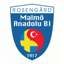 Malmo Anadolu BI