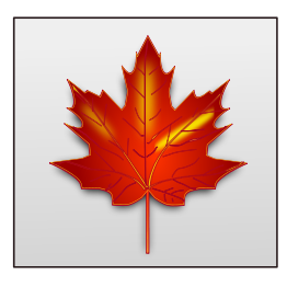 Maple Leaf