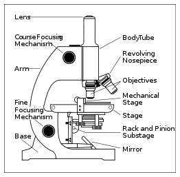 Microscope With Labels