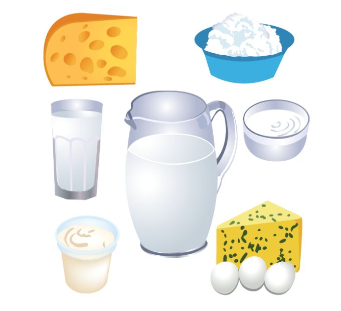 Milk Products Vector