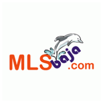 MLS Baja Real Estate Group