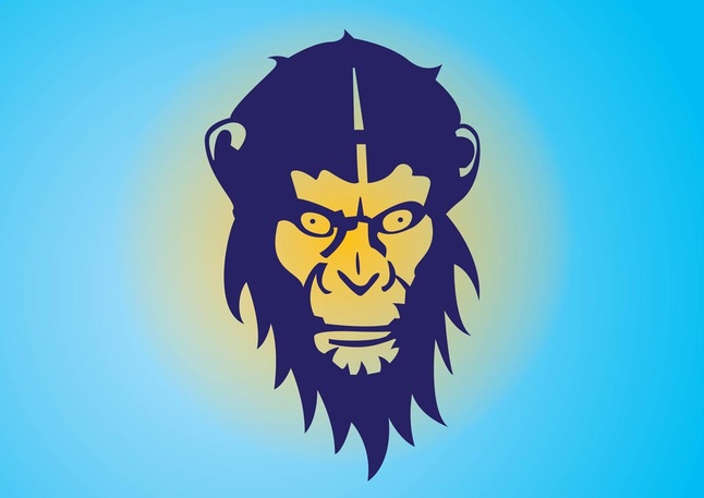 Monkey Illustration