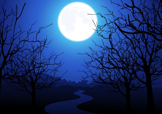 Moonlight Trees Vector