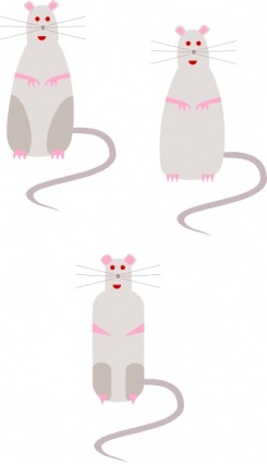 Mouse Rat Animal Rodent