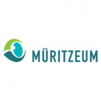 Müritzeum