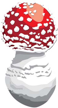 Mushroom 4