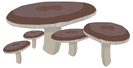 Mushrooms 1