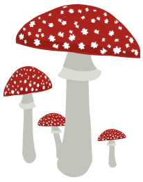 Mushrooms 4