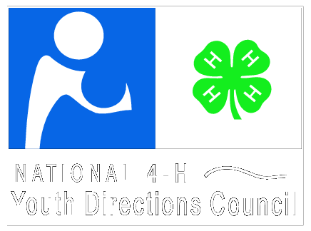 National 4 H Youth Directions Council