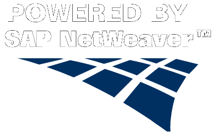 Netweaver