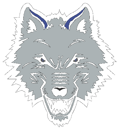 New England Sea Wolves