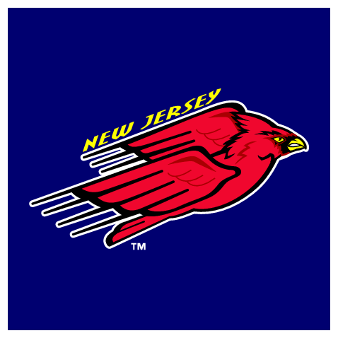 New Jersey Cardinals