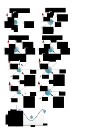 NMR Bloch spheres