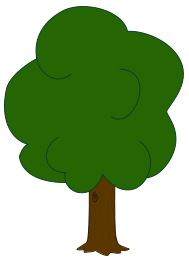 Oak