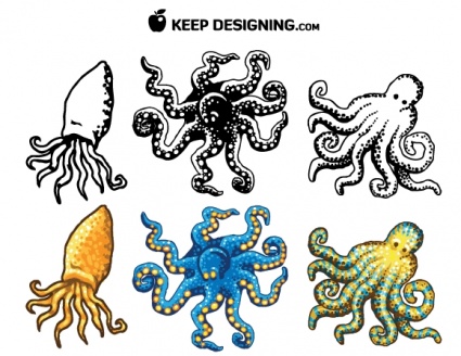 Octopus Design Vectors- Free