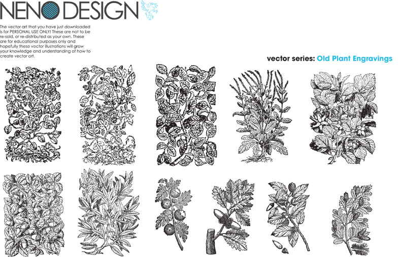 Old Plant Engravings