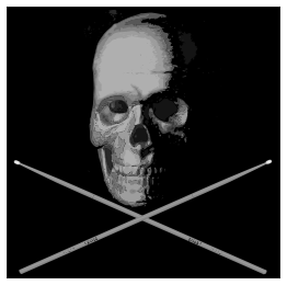 Old Skull Drumming BW