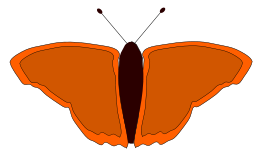 Orange Butterfly