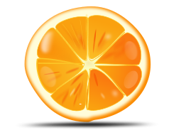 Orange Slice