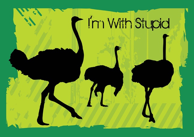 Ostrich Vectors