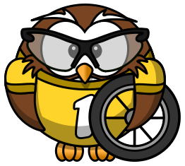 Owl cyclist