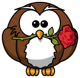 Owl with rose