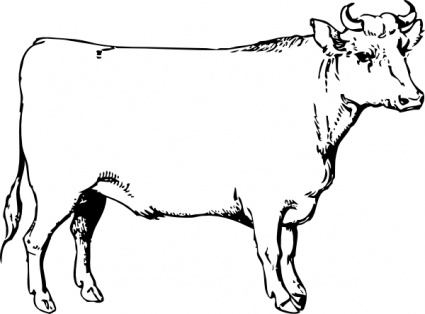 Ox clip art