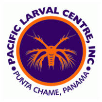 Pacific Larval