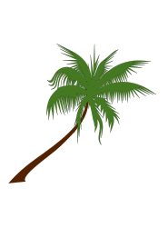 Palm Tree