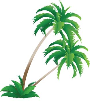 Palm tree 4