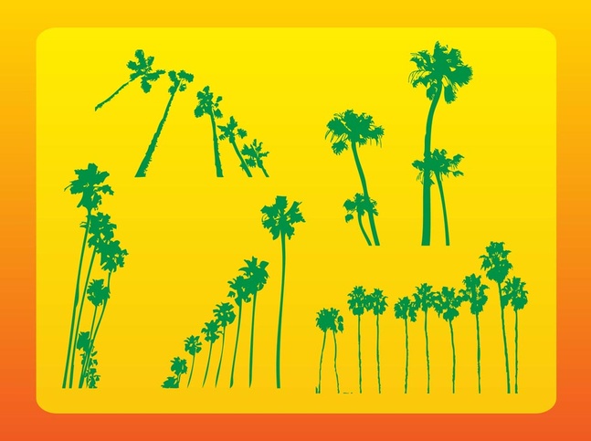 Palm Trees Vectors