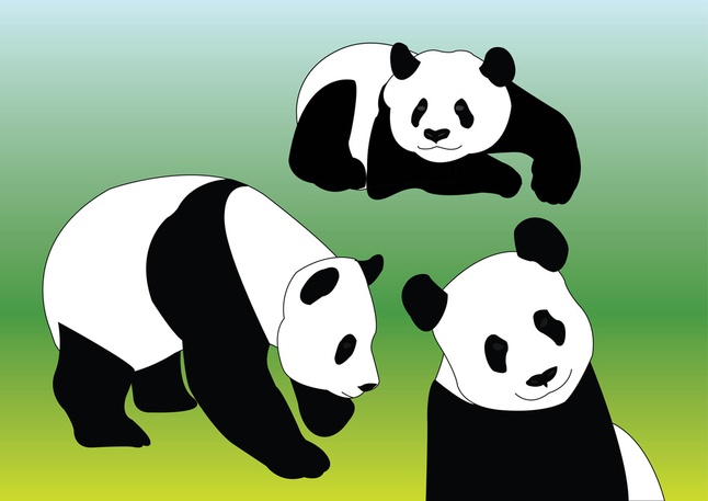 Panda Vectors