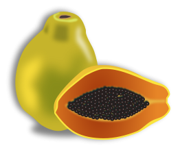 Papaya