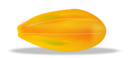 Papaya