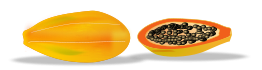 Papaya Sliced