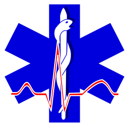 Paramedic Cross