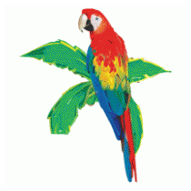 Parrot