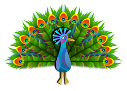 Peacock