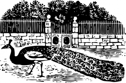 Peacock At The Gate clip art