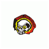 Pearl Jam Riot Act Skull