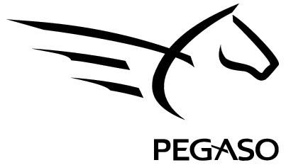 Pegaso